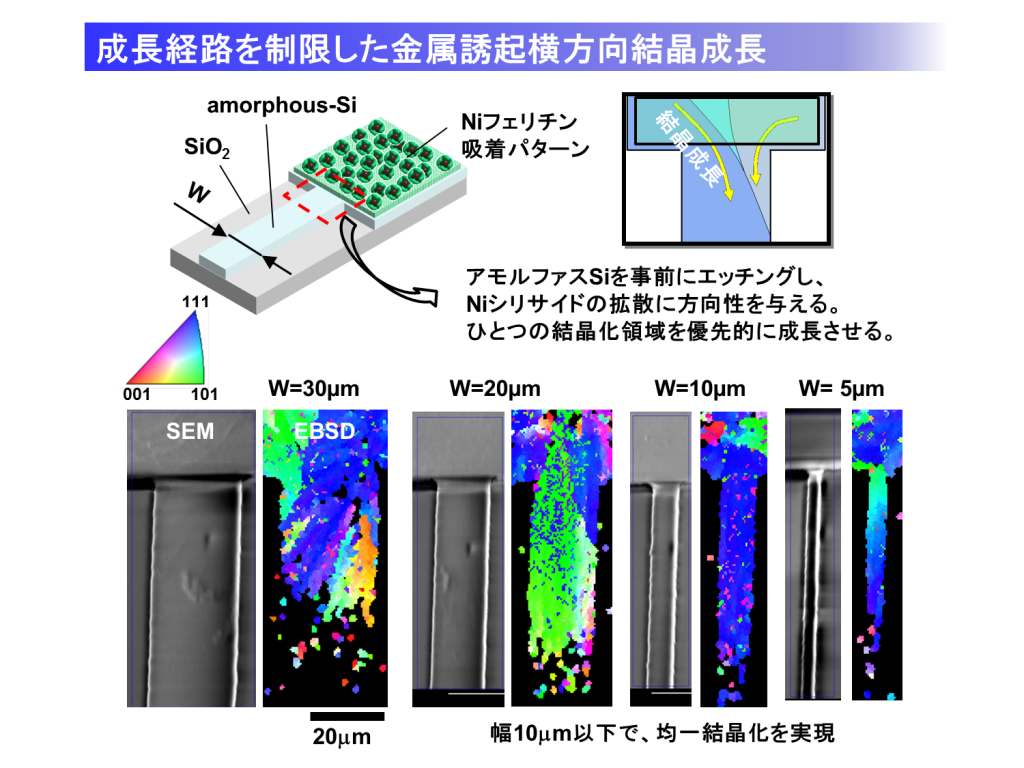 MILC振動子と結晶粒