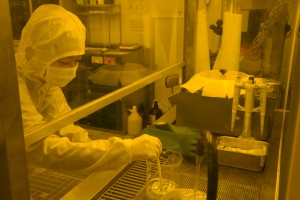 作業中の中田さん